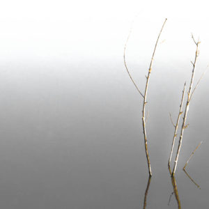 SEL0017