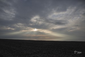 En Baie de Somme, mars 2013