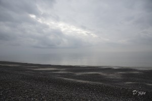 En Baie de Somme, mars 2013