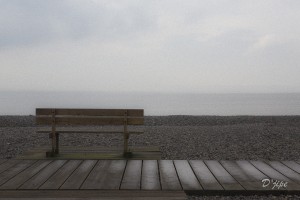 En Baie de Somme, mars 2013