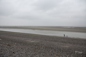 En Baie de Somme, mars 2013