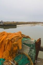 En Baie de Somme, mars 2013