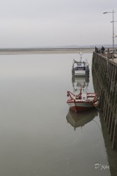 En Baie de Somme, mars 2013