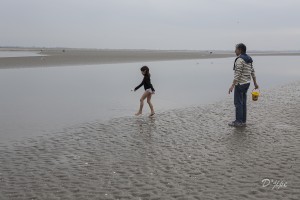 En Baie de Somme, mars 2013