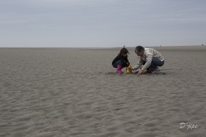 En Baie de Somme, mars 2013