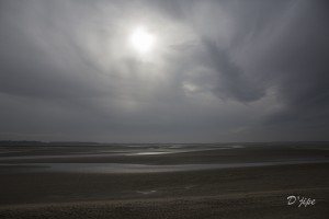 En Baie de Somme, mars 2013