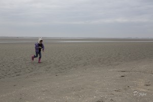 En Baie de Somme, mars 2013