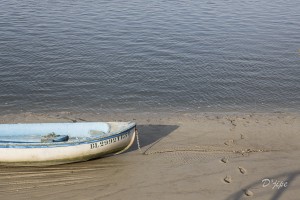 En Baie de Somme, mars 2013