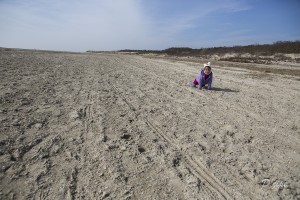 En Baie de Somme, mars 2013