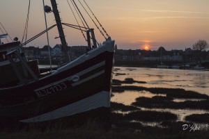 En Baie de Somme, mars 2013