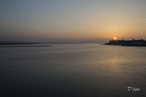 En Baie de Somme, mars 2013