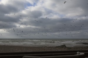 Boulogne-sur-Mer, novembre 2012