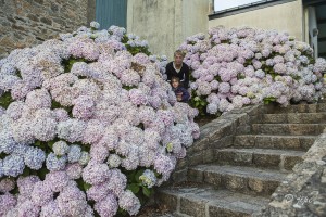 En Bretagne, juillet 2012