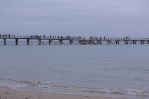 Ile de Noirmoutier