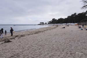 Ile de Noirmoutier