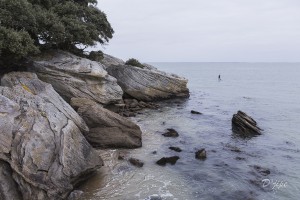 Ile de Noirmoutier