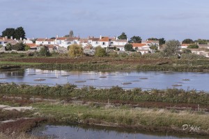 Ile de Noirmoutier