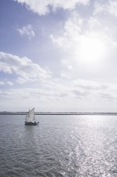 Ile de Noirmoutier