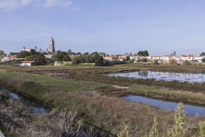 Ile de Noirmoutier