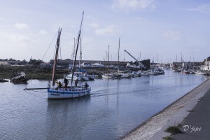 Ile de Noirmoutier