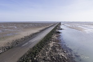 Ile de Noirmoutier