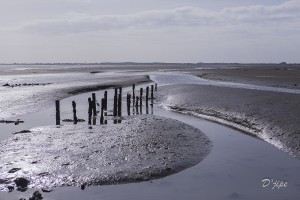 Ile de Noirmoutier