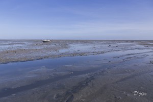 Ile de Noirmoutier