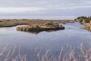 Ile de Noirmoutier