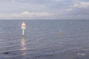 Ile de Noirmoutier