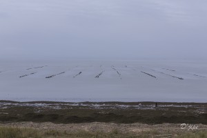 Ile de Noirmoutier