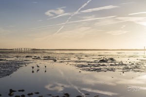 Ile de Noirmoutier