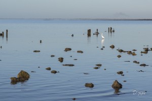 Ile de Noirmoutier