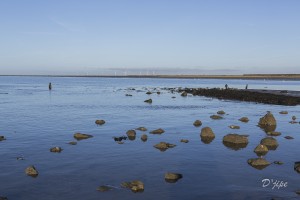 Ile de Noirmoutier