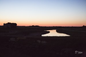 Ile d'Oléron