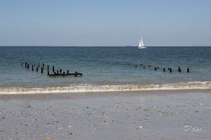 Ile d'Oléron, septembre 2014