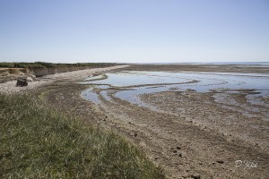 Ile d'Oléron