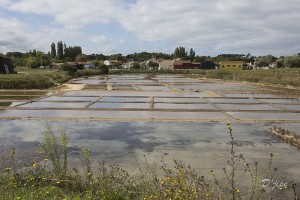 Ile d'Oléron