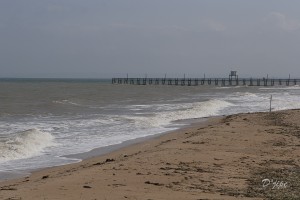 En Normandie, avril 2012