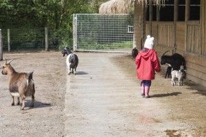 En Normandie, avril 2012