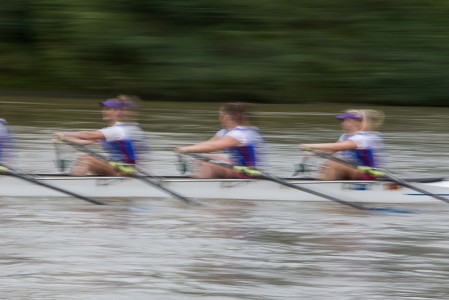 Aviron sur la Seine