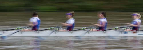 Aviron sur la Seine