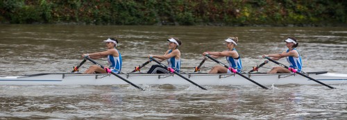 Aviron sur la Seine