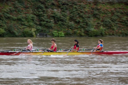 Aviron sur la Seine