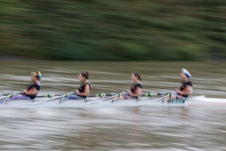 Aviron sur la Seine