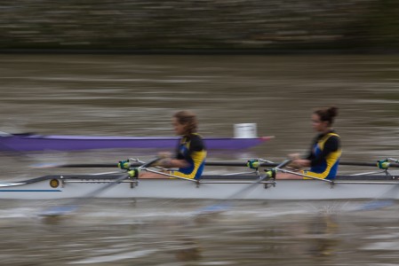 Aviron sur la Seine