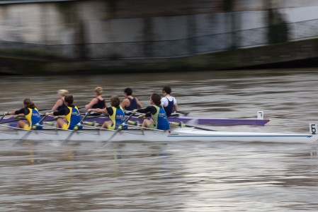 Aviron sur la Seine