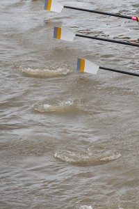 Aviron sur la Seine