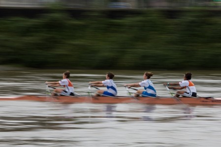 Aviron sur la Seine