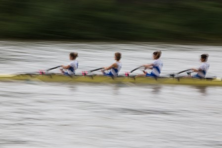 Aviron sur la Seine