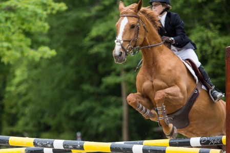 Équitation, CSO à La Rochette, mai 2012